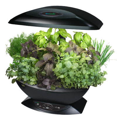 aerogarden