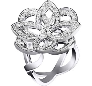 anillo oro blanco