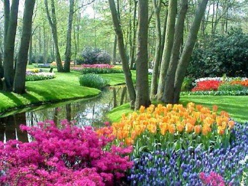 keukenhof21